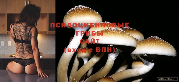 spice Арсеньев