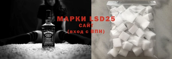 мяу мяу мука Аркадак