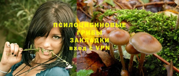 spice Арсеньев