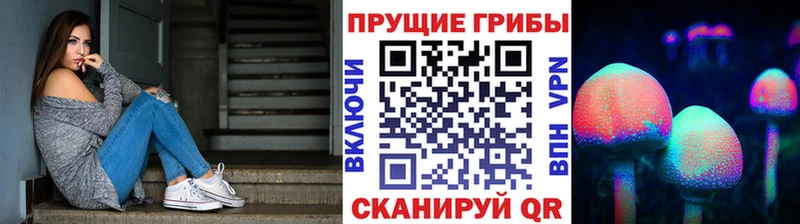 ссылка на мегу   Свирск  Псилоцибиновые грибы ЛСД 