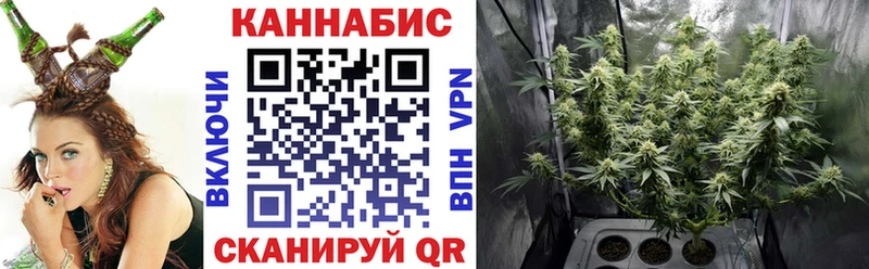 купить   Свирск  Конопля сатива 